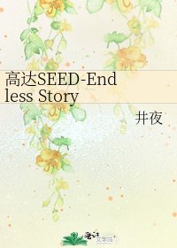 高達SEED-Endless Story