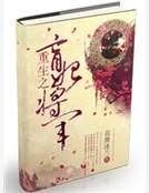 重生之盲妃将军