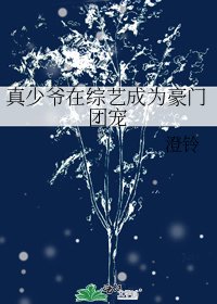 真少爺在綜藝成為豪門團寵